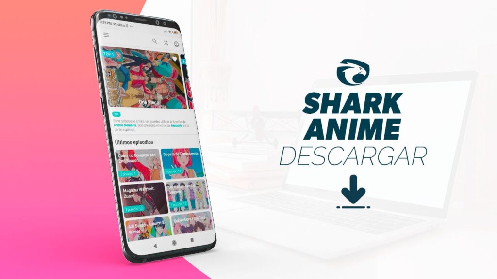 Shark Anime - Eduuolvera